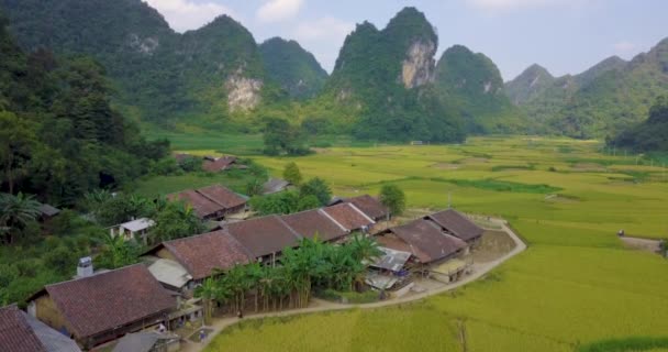 Vista Aerea Del Paesaggio Del Vietnam Campo Riso Giallo Nel — Video Stock