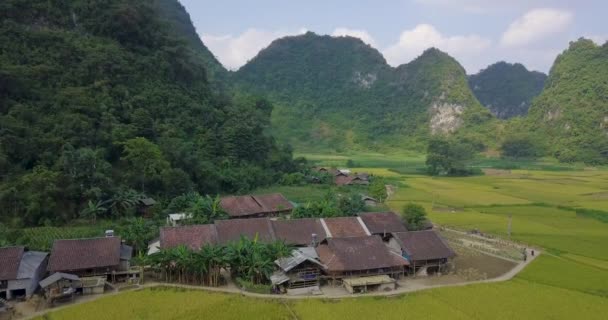 Aerial View Vietnam Landscape Yellow Rice Field Village Cao Bang — Stock Video