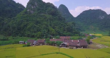 Vietnam manzara havadan görünümü. Sarı pirinç alan Köyü, kırsal Vietnam. Lisanslı yüksek kaliteli ücretsiz stok video görüntüleri sarı pirinç tarlaları hazırlamak hasat Vadisi ve dağlar