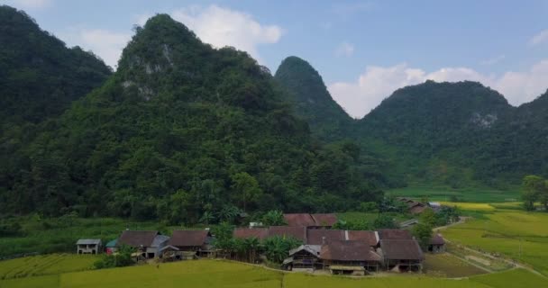 Letecký Pohled Vietnam Krajiny Žlutá Rýže Pole Vesnici Cao Bang — Stock video