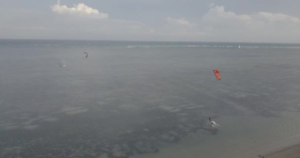 风筝板 风筝冲浪的鸟图 极限运动风筝冲浪在热带蓝色的海洋 清澈的海滩 从无人机上的风筝冲浪在美丽的大海的波涛 风筝冲浪者乘着海浪 — 图库视频影像