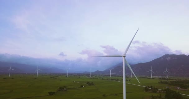 Parque Eólico Campos Agrícolas Día Verano Imágenes Vídeo Alta Calidad — Vídeo de stock