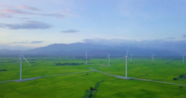 Wind Turbines Farm Windmill Summer Day High Quality Stock Video — Stock Video