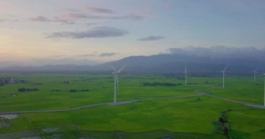 Rüzgar türbinleri çiftliği, yel değirmeni bir yaz gününde. Yüksek kaliteli stok video görüntüleri rüzgar türbini veya yeşil bir alanda - enerji üretimi ile temiz ve yenilenebilir enerji, Rüzgar gülü temiz enerji kavramı