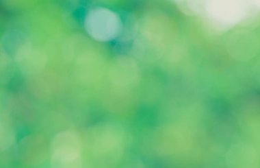 Güneş ışığı yeşil biyo arka plan, soyut bulanık yeşillik güneş ışığı. Organik tasarım doğa arka plan boşaltmak için metin reklam tasarımı ile. Doğa görüntü güneş ışığı ve bokeh etkisi bulanıklık