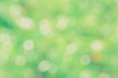 Yeşil biyo arka plan, soyut bulanık yeşillik parlak güneş ışığı. Organik tasarım doğa arka plan boşaltmak için metin reklam tasarımı ile. Yeşil arka ışık arka plan ve bokeh etkisi