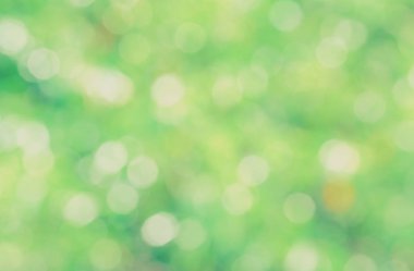 Yeşil biyo arka plan, soyut bulanık yeşillik parlak güneş ışığı. Organik tasarım doğa arka plan boşaltmak için metin reklam tasarımı ile. Yeşil arka ışık arka plan ve bokeh etkisi
