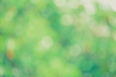 Güneş ışığı yeşil biyo arka plan, soyut bulanık yeşillik güneş ışığı. Organik tasarım doğa arka plan boşaltmak için metin reklam tasarımı ile. Doğa görüntü güneş ışığı ve bokeh etkisi bulanıklık