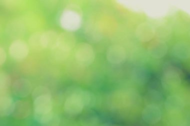 Yeşil biyo arka plan, soyut bulanık yeşillik parlak güneş ışığı. Organik tasarım doğa arka plan boşaltmak için metin reklam tasarımı ile. Yeşil arka ışık arka plan ve bokeh etkisi