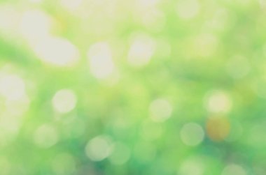 Yeşil biyo arka plan, soyut bulanık yeşillik parlak güneş ışığı. Organik tasarım doğa arka plan boşaltmak için metin reklam tasarımı ile. Yeşil arka ışık arka plan ve bokeh etkisi