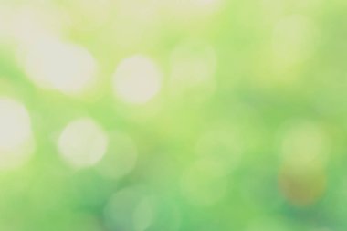 Güneş ışığı yeşil biyo arka plan, soyut bulanık yeşillik güneş ışığı. Organik tasarım doğa arka plan boşaltmak için metin reklam tasarımı ile. Doğa görüntü güneş ışığı ve bokeh etkisi bulanıklık