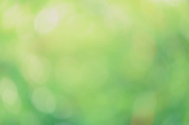 Güneş ışığı yeşil biyo arka plan, soyut bulanık yeşillik güneş ışığı. Organik tasarım doğa arka plan boşaltmak için metin reklam tasarımı ile. Doğa görüntü güneş ışığı ve bokeh etkisi bulanıklık