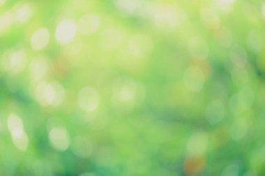 Güneş ışığı yeşil biyo arka plan, soyut bulanık yeşillik güneş ışığı. Organik tasarım doğa arka plan boşaltmak için metin reklam tasarımı ile. Doğa görüntü güneş ışığı ve bokeh etkisi bulanıklık