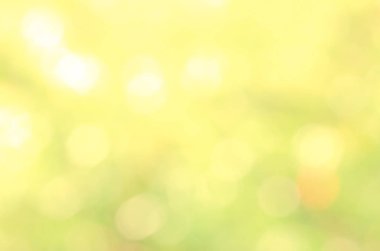 Ufuk soyut doğa arka plan sarı yaprakları ve bokeh ışıklar. Telif yüksek kaliteli doğal bulanık bokeh arka plandan yaprak ile boşaltmak metin reklam tasarımı için ücretsiz stok görüntü