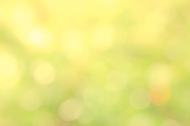 Güneş ışığı sarı biyo arka plan, soyut bulanık yeşillik güneş ışığı. Organik tasarım doğa arka plan boşaltmak için metin reklam tasarımı ile. Doğa görüntü güneş ışığı ve bokeh etkisi bulanıklık