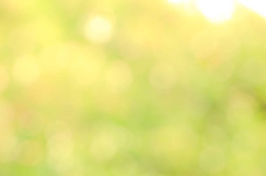 Güneş ışığı sarı biyo arka plan, soyut bulanık yeşillik güneş ışığı. Organik tasarım doğa arka plan boşaltmak için metin reklam tasarımı ile. Doğa görüntü güneş ışığı ve bokeh etkisi bulanıklık