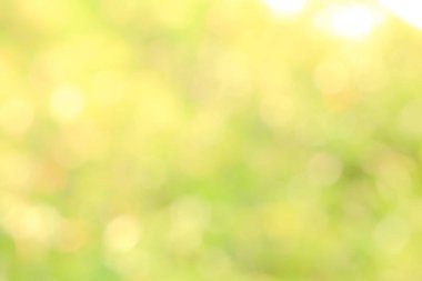 Güneş ışığı sarı biyo arka plan, soyut bulanık yeşillik güneş ışığı. Organik tasarım doğa arka plan boşaltmak için metin reklam tasarımı ile. Doğa görüntü güneş ışığı ve bokeh etkisi bulanıklık