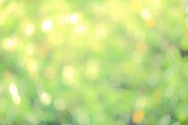 Ufuk soyut doğa arka plan sarı yaprakları ve bokeh ışıklar. Telif yüksek kaliteli doğal bulanık bokeh arka plandan yaprak ile boşaltmak metin reklam tasarımı için ücretsiz stok görüntü