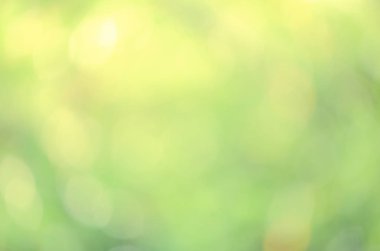 Güneş ışığı sarı biyo arka plan, soyut bulanık yeşillik güneş ışığı. Organik tasarım doğa arka plan boşaltmak için metin reklam tasarımı ile. Doğa görüntü güneş ışığı ve bokeh etkisi bulanıklık