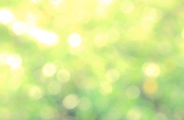 Yeşil biyo arka plan, soyut bulanık yeşillik parlak güneş ışığı. Organik tasarım doğa arka plan boşaltmak için metin reklam tasarımı ile. Yeşil arka ışık arka plan ve bokeh etkisi