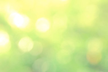 Güneş ışığı sarı biyo arka plan, soyut bulanık yeşillik güneş ışığı. Organik tasarım doğa arka plan boşaltmak için metin reklam tasarımı ile. Doğa görüntü güneş ışığı ve bokeh etkisi bulanıklık