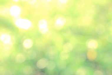 Güneş ışığı sarı biyo arka plan, soyut bulanık yeşillik güneş ışığı. Organik tasarım doğa arka plan boşaltmak için metin reklam tasarımı ile. Doğa görüntü güneş ışığı ve bokeh etkisi bulanıklık