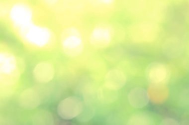 Ufuk soyut doğa arka plan sarı yaprakları ve bokeh ışıklar. Telif yüksek kaliteli doğal bulanık bokeh arka plandan yaprak ile boşaltmak metin reklam tasarımı için ücretsiz stok görüntü