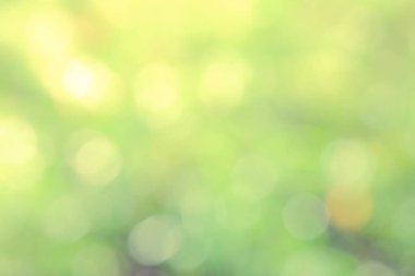 Yeşil biyo arka plan, soyut bulanık yeşillik parlak güneş ışığı. Organik tasarım doğa arka plan boşaltmak için metin reklam tasarımı ile. Yeşil arka ışık arka plan ve bokeh etkisi