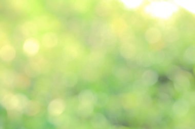 Yeşil biyo arka plan, soyut bulanık yeşillik parlak güneş ışığı. Organik tasarım doğa arka plan boşaltmak için metin reklam tasarımı ile. Yeşil arka ışık arka plan ve bokeh etkisi