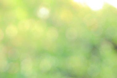 Güneş ışığı sarı biyo arka plan, soyut bulanık yeşillik güneş ışığı. Organik tasarım doğa arka plan boşaltmak için metin reklam tasarımı ile. Doğa görüntü güneş ışığı ve bokeh etkisi bulanıklık