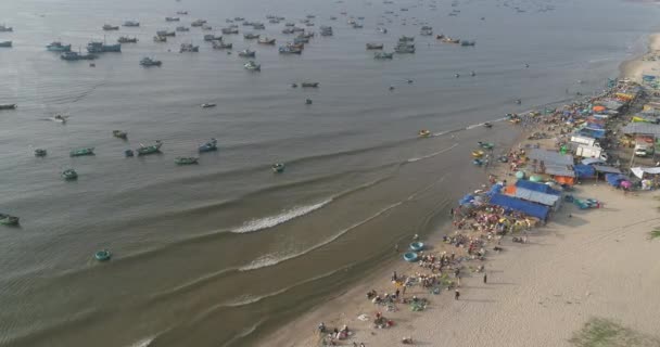 Vista Superior Vista Aérea Mercado Porto Pesca Drone Royalty Imagens — Vídeo de Stock