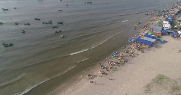 Vista Superior Vista Aérea Mercado Porto Pesca Drone Royalty Imagens — Vídeo de Stock