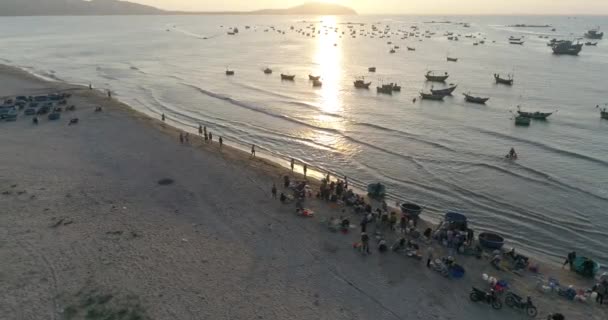 Vista Superior Vista Aérea Mercado Porto Pesca Drone Royalty Imagens — Vídeo de Stock