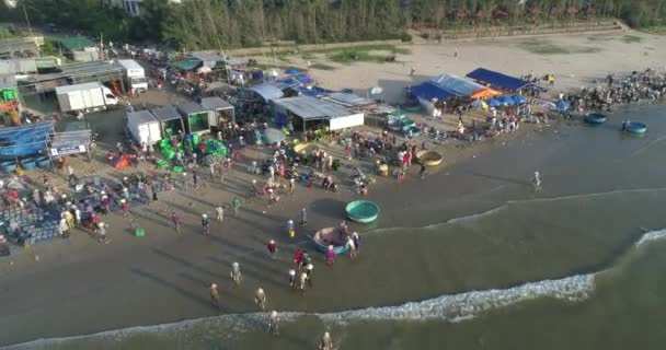 Vista Superior Vista Aérea Mercado Del Puerto Pesquero Dron Realeza — Vídeo de stock