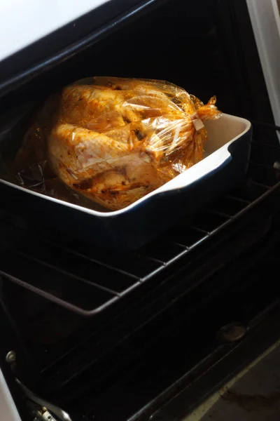 Pollo Horno Apetitoso Con Corteza Tostada Dorada Cocinada Horno Una — Foto de Stock