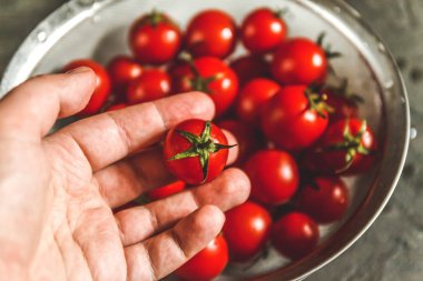 el seçer ve bir kevgir içinde bütün taze kiraz domates gösterir.