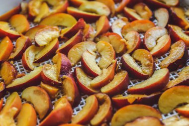 Kurutucuda kurutulmuş şeftali. Vitaminleri korumanın bir yolu. Vejetaryen yemeği, sağlıklı ve yararlı..