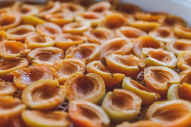 Kurutma makinesinde kurutulmuş kayısı. Vitaminleri korumanın bir yolu. Vejetaryen yemeği, sağlıklı ve yararlı..