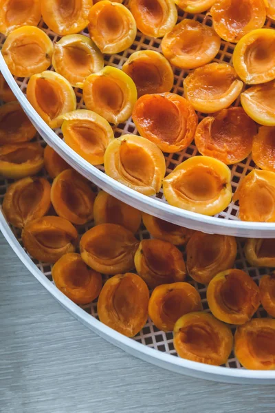 Apricot Dried Dryer Dehydrator Way Preserve Vitamins Vegetarian Meal Healthy — Stock Photo, Image