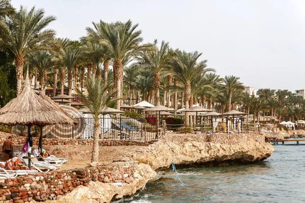 Palmiye Ağaçları Thatched Şemsiye Şezlong Sharm Sheikh Mısır Ile Plaj — Stok fotoğraf