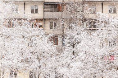 Ağaçların altında kar kar yağışı yüksek katlı binalarda zemin üzerine kalın bir tabaka.