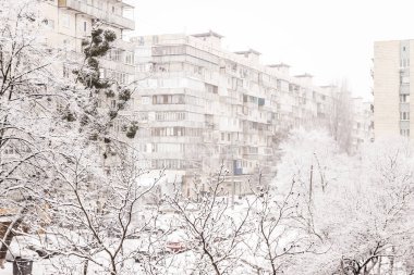 Ağaçların altında kar kar yağışı yüksek katlı binalarda zemin üzerine kalın bir tabaka.