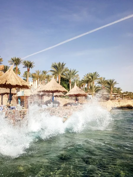 Palmiye Ağaçları Thatched Şemsiye Şezlong Sharm Sheikh Mısır Ile Plaj — Stok fotoğraf