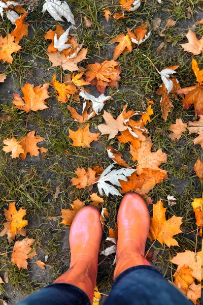 Benen Rubber Laarzen Een Achtergrond Van Rood Geel Oranje Herfst — Stockfoto