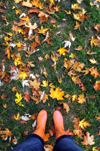 Benen Rubber Laarzen Een Achtergrond Van Rood Geel Oranje Herfst — Stockfoto