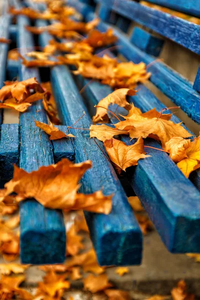 Geel Oranje Herfst Esdoorn Bladeren Een Blauwe Houten Bankje Het — Stockfoto