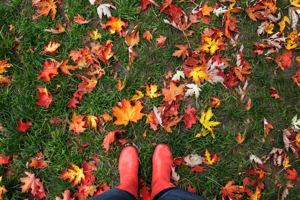 Benen Rubber Laarzen Een Achtergrond Van Rood Geel Oranje Herfst — Stockfoto
