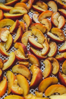 Kurutucuda kurutulmuş şeftali. Vitaminleri korumanın bir yolu. Vejetaryen yemeği, sağlıklı ve yararlı..