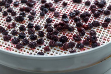 kiraz bir kurutucu kurutma makinesi kurumuş. Vitaminler korumak için bir yol. Vejetaryen yemek, sağlıklı ve kullanışlı.