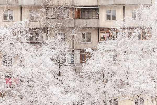 Árvores Sob Uma Espessa Camada Neve Fundo Edifícios Altos Queda — Fotografia de Stock